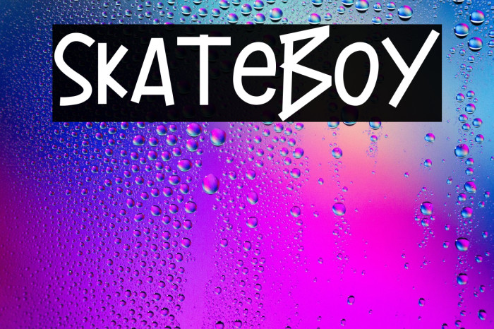 Skateboy Example 2