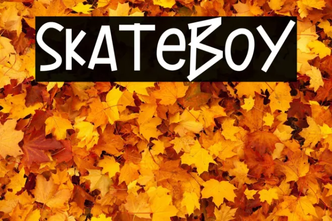 Skateboy Example 3