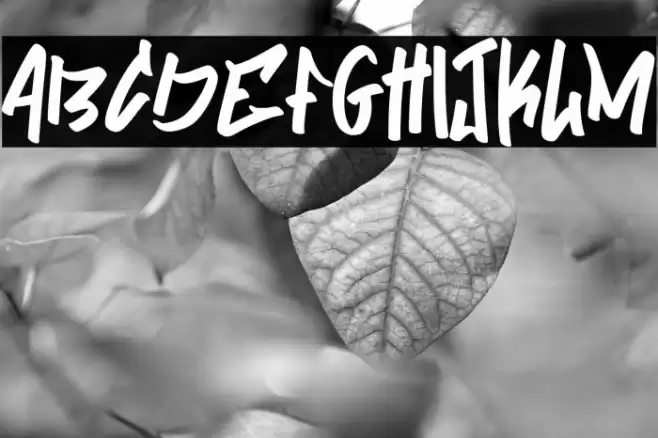 Skatenow Font examples