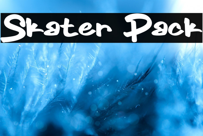 Skater Pack Example 3