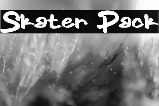Skater Pack Font examples