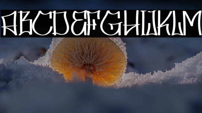 Skater Squad personal use Example 1