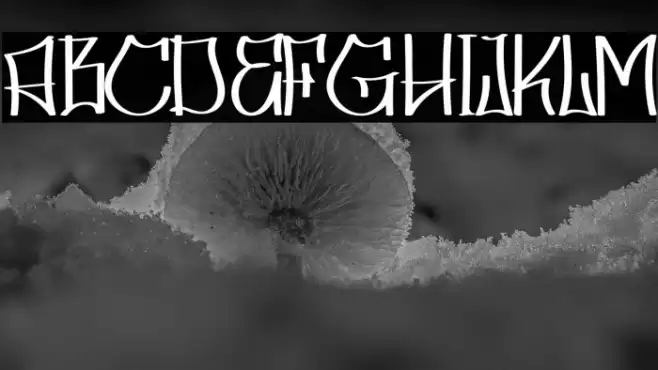 Skater Squad personal use Font examples