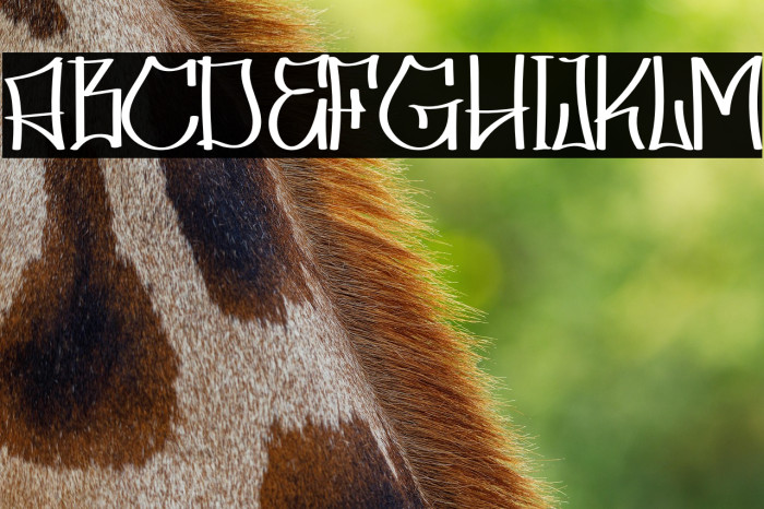 Skater Squad personal use Example 3