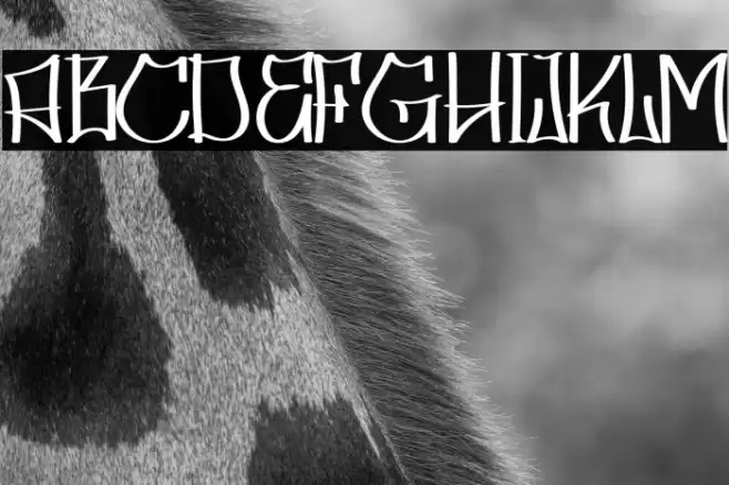 Skater Squad personal use Font examples