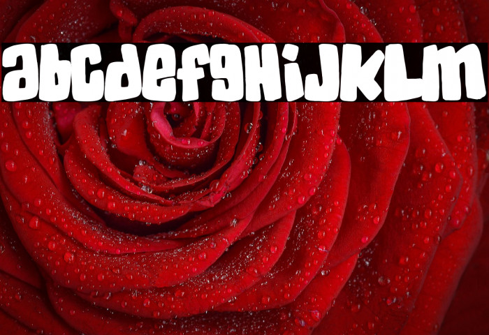 SkaterDudes Example 3