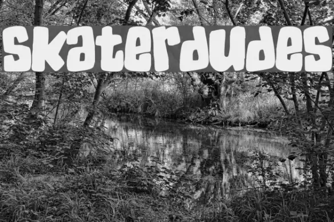 SkaterDudes Font examples
