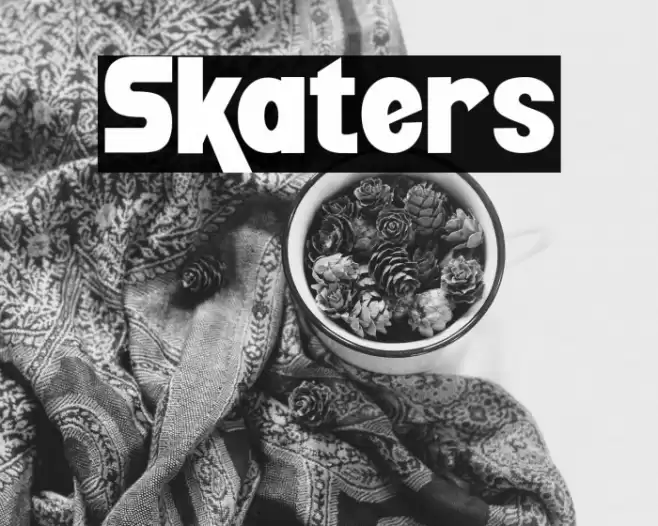 Skaters Font examples