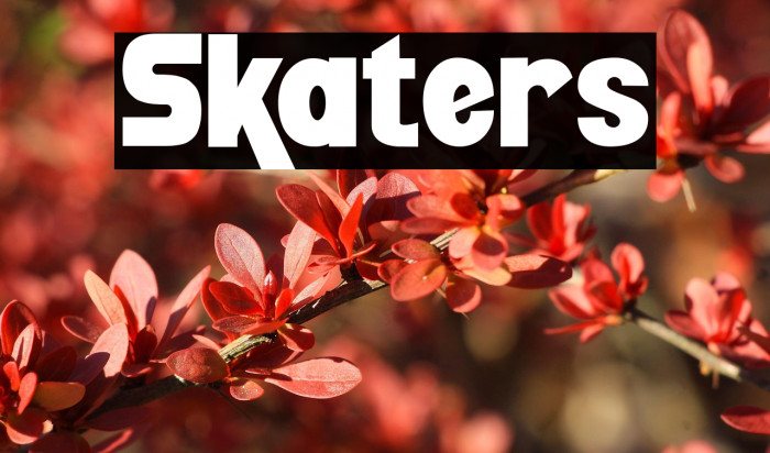 Skaters Example 3