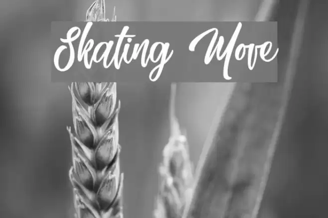 Skating Move Font examples