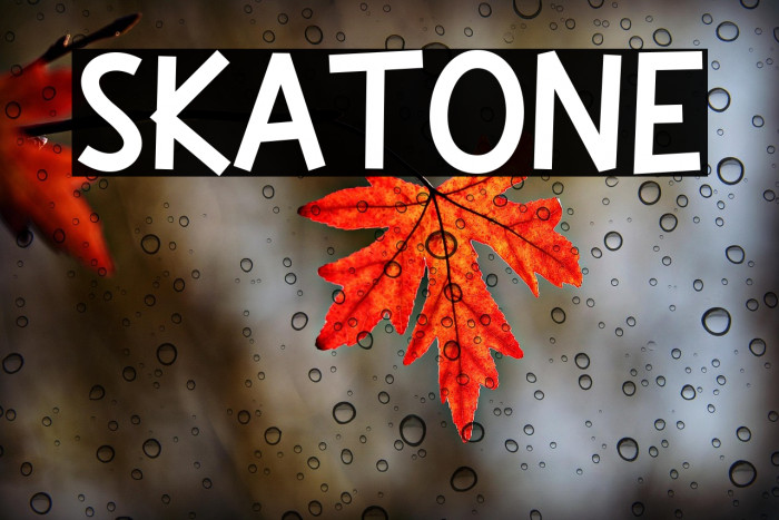 Skatone Example 1