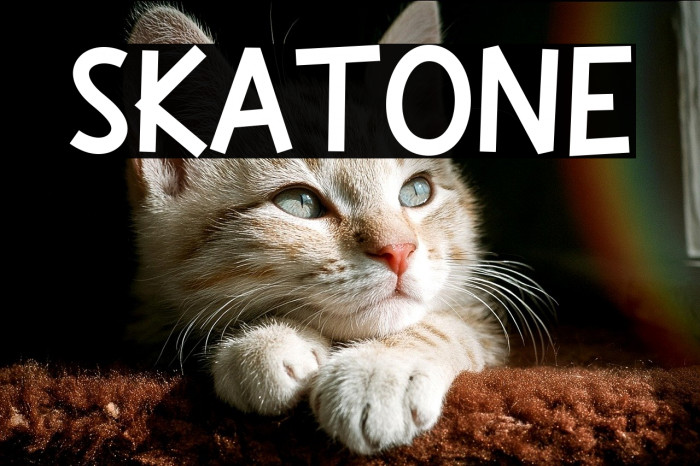 Skatone Example 2