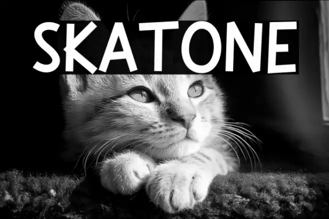 Skatone फ़ॉन्ट examples