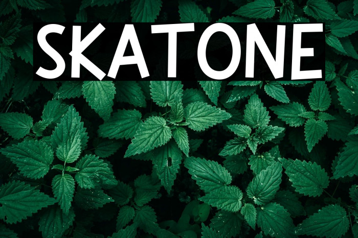 Skatone Example 3
