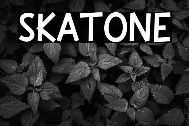Skatone फ़ॉन्ट examples