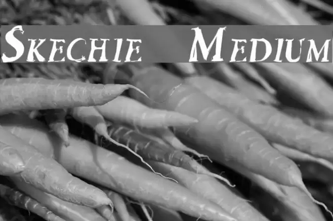 Skechie Medium Font examples