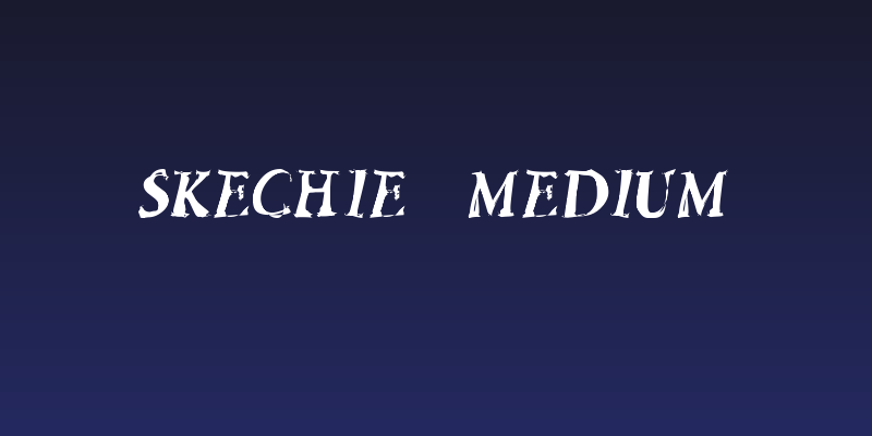 Skechie Medium Social Header