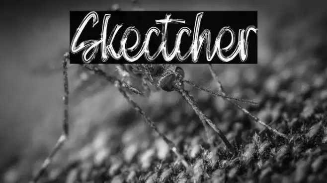 Skectcher Font examples