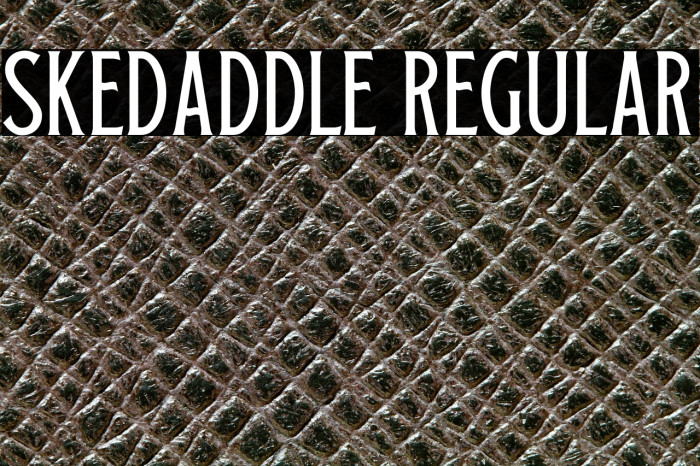 Skedaddle Regular Example 2