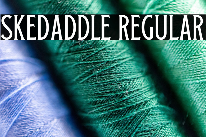 Skedaddle Regular Example 3