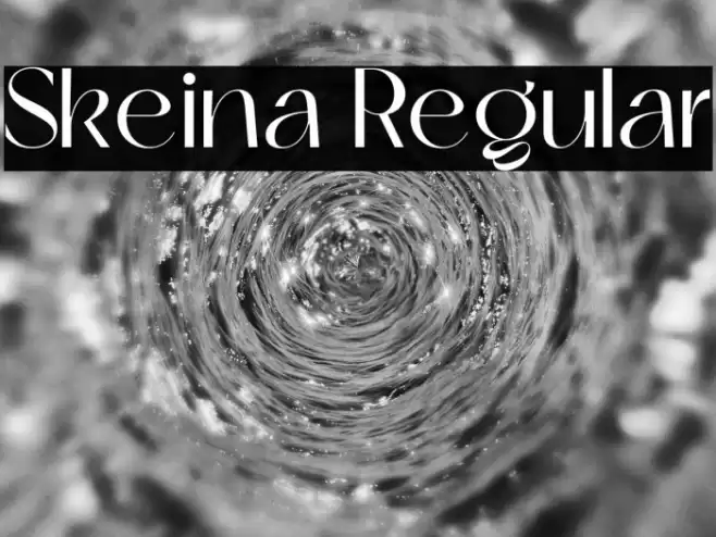 Skeina Regular Font examples
