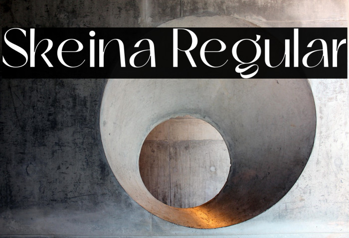 Skeina Regular Example 2