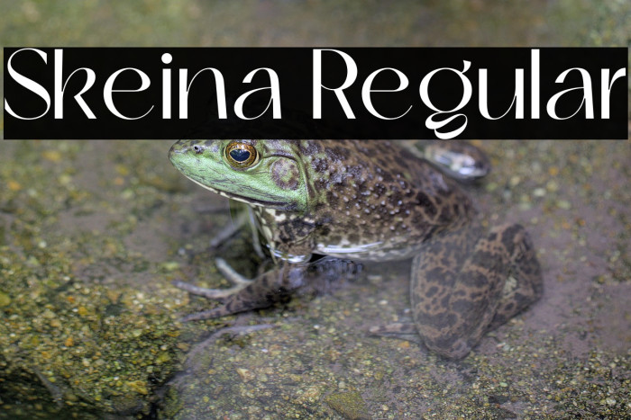 Skeina Regular Example 3