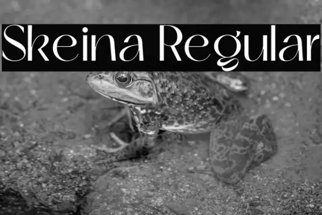 Skeina Regular Font examples