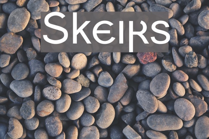 Skeirs Font examples