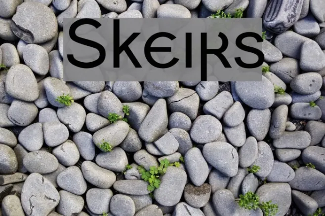 Skeirs Example 2