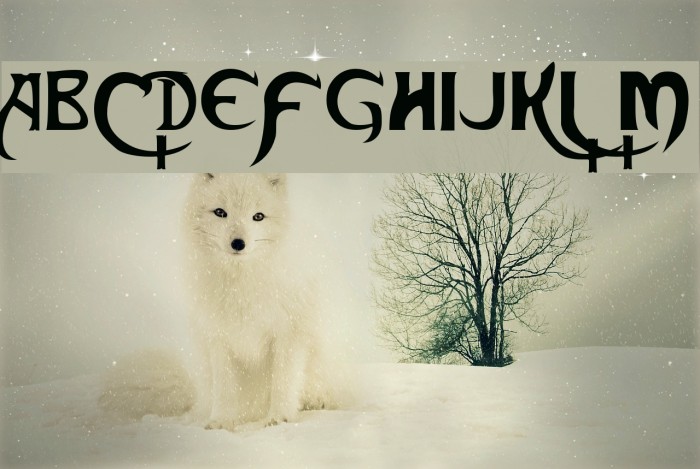 Skeksis Normal Font examples
