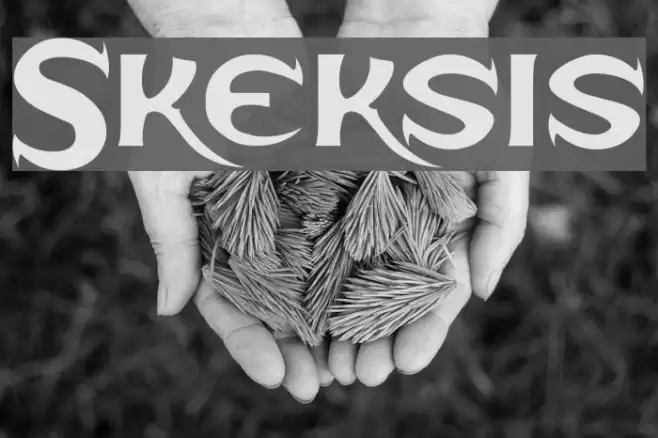 Skeksis Font examples