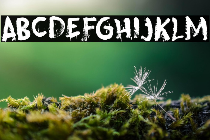 Skeletal Wish DEMO Regular Example 2