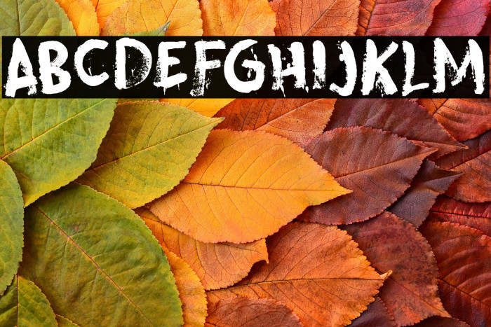 Skeletal Wish DEMO Regular Example 3