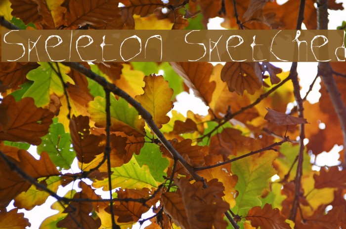 Skeleton Sketched Font examples