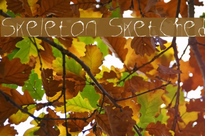 Skeleton Sketched Example 2