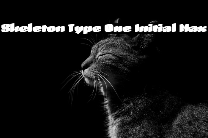 Skeleton Type One Initial Max Example 3