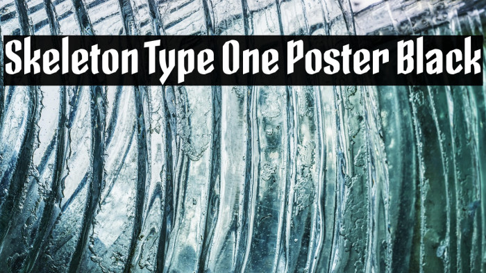 Skeleton Type One Poster Black Example 1