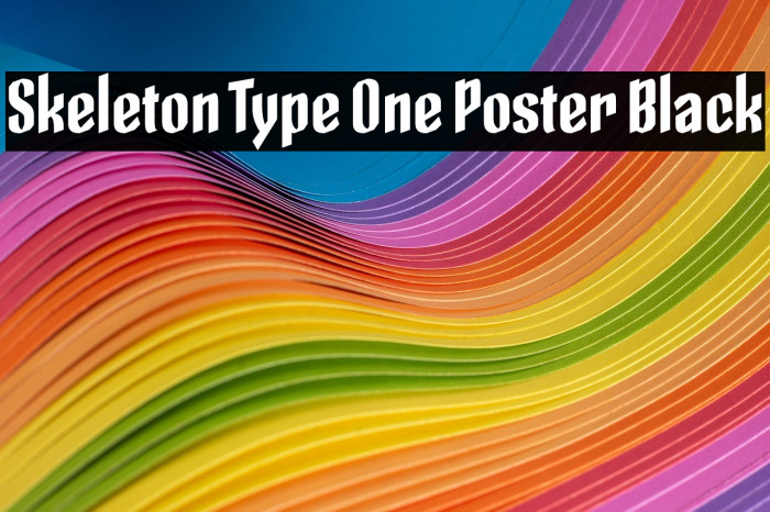 Skeleton Type One Poster Black Example 2
