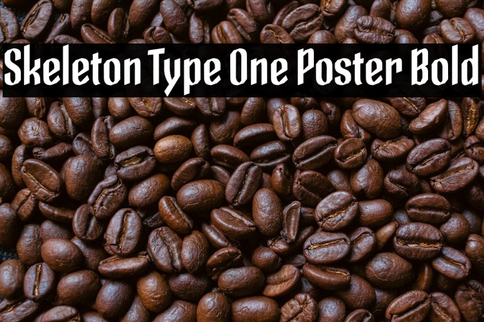 Skeleton Type One Poster Bold Example 1