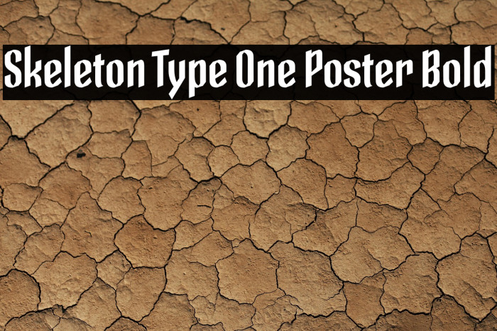 Skeleton Type One Poster Bold Example 3