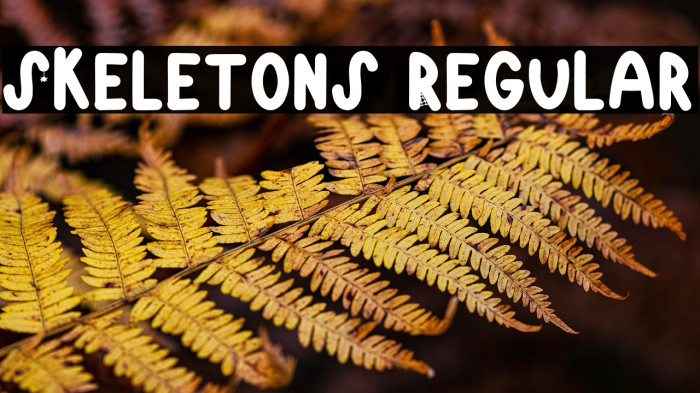 Skeletons Regular Example 1