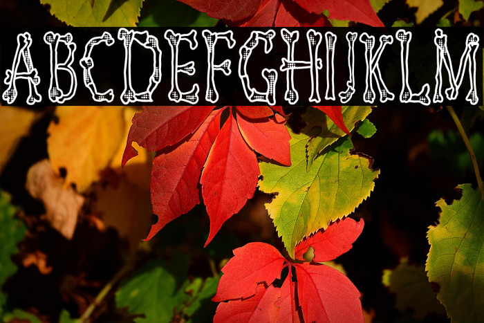 Skeletor Funny Example 1