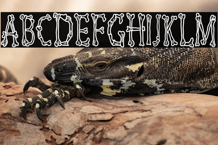 Skeletor Funny Example 2