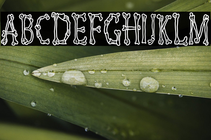 Skeletor Funny Example 3