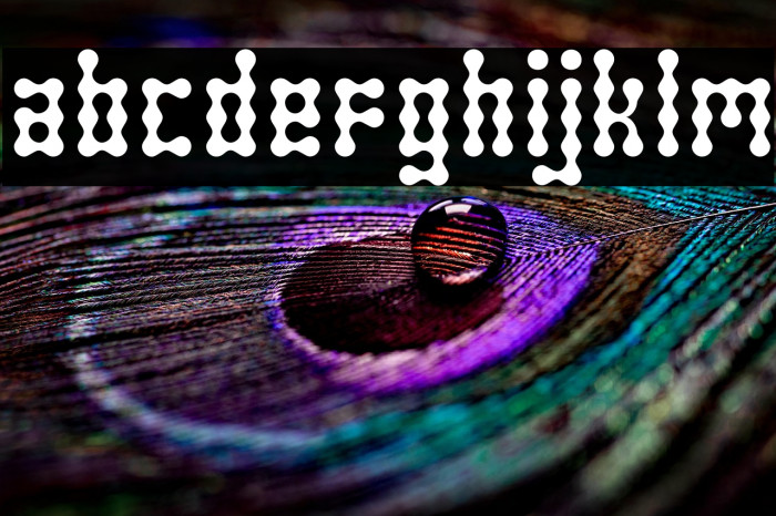 SkeletorStance-Regular Example 1