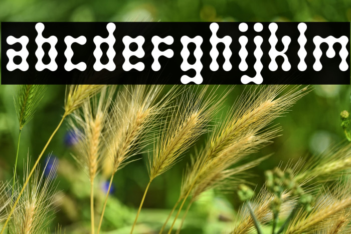 SkeletorStance-Regular Example 2