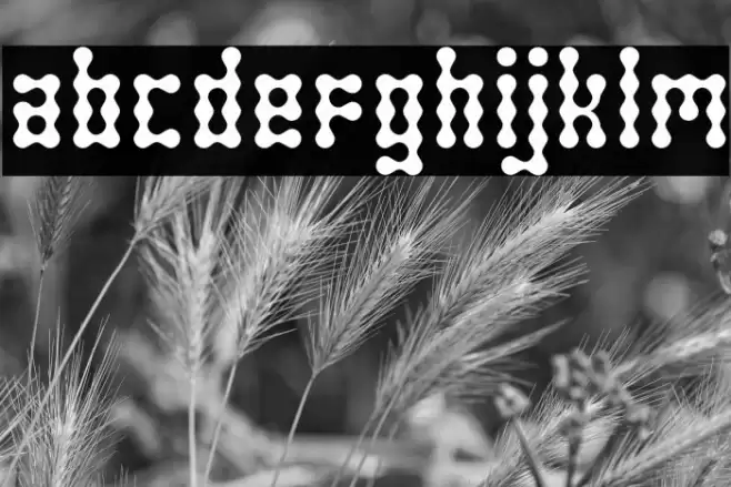 SkeletorStance-Regular Font examples