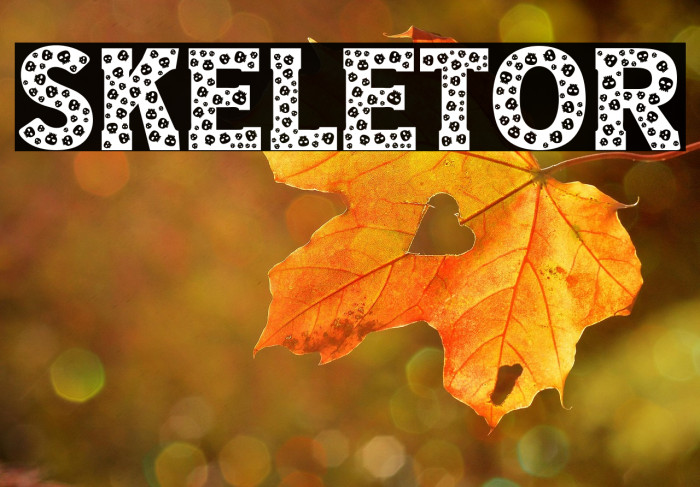 Skeletor Example 1