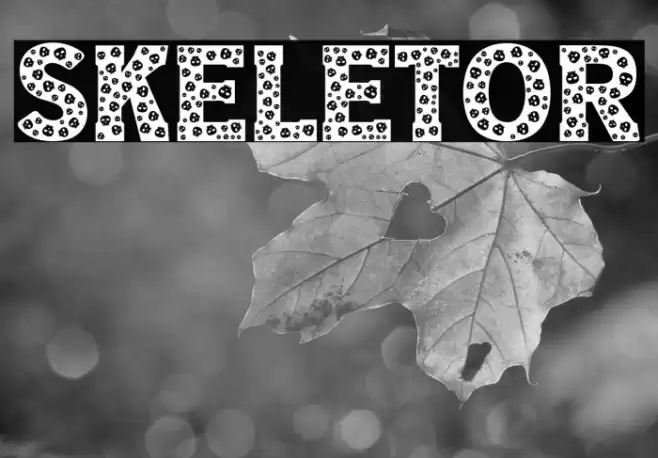 Skeletor خط examples